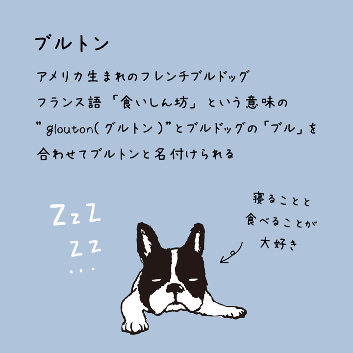 ブルトンの特徴01