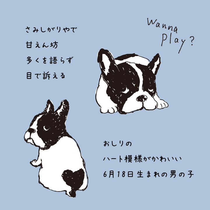 ブルトンの特徴02