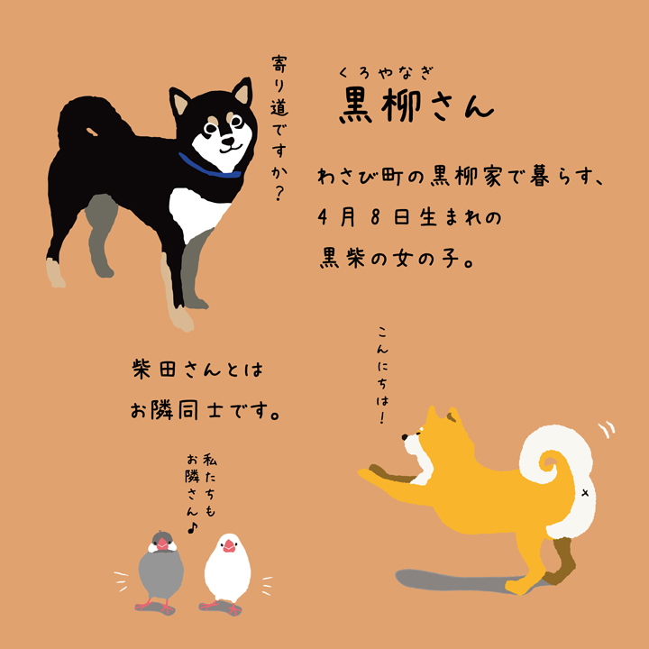 黒柳さんの特徴01