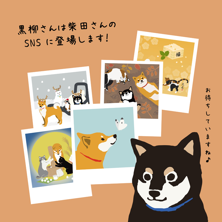 黒柳さんの特徴04