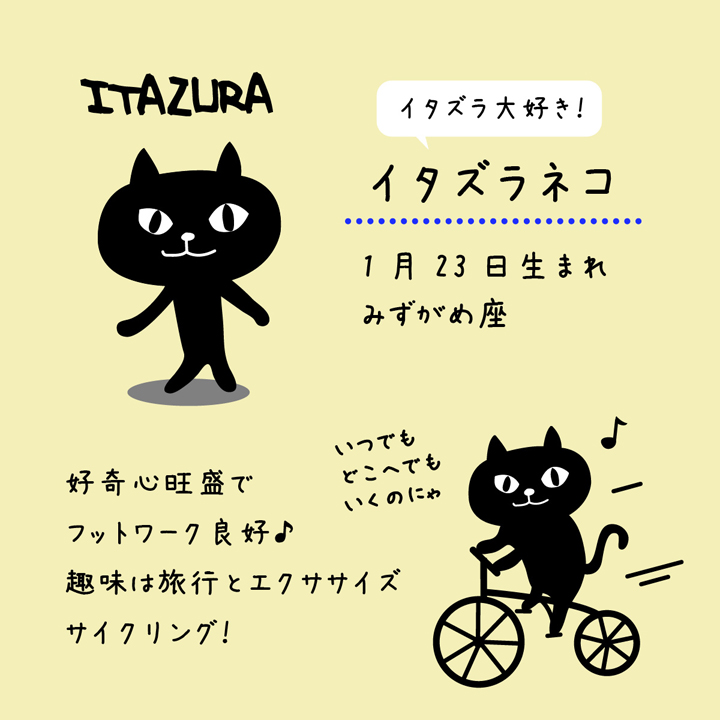 ネコマンジュウの特徴02