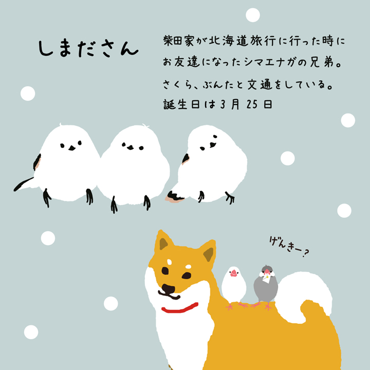 しまださんの特徴01