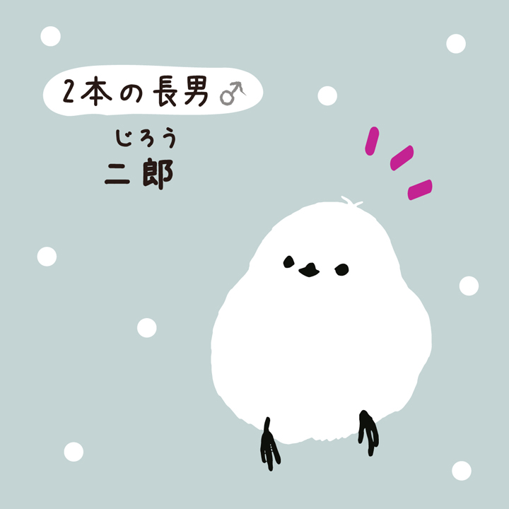 しまださんの特徴03