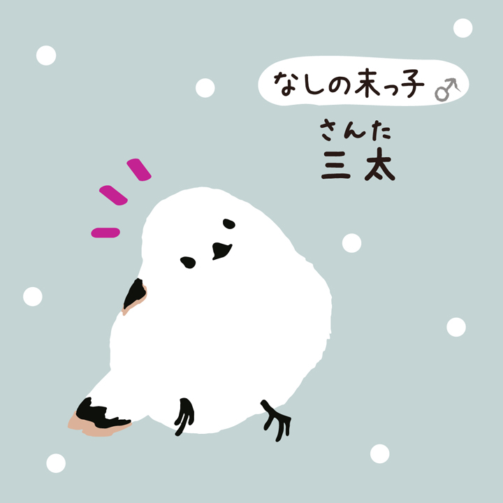 しまださんの特徴04