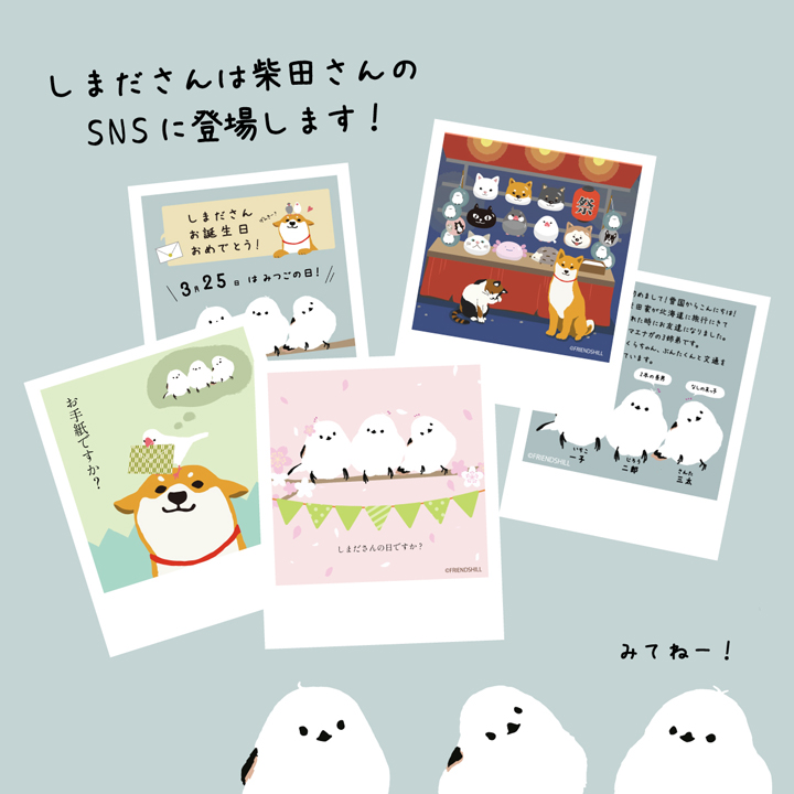 しまださんの特徴05