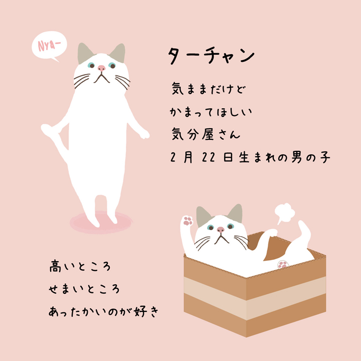 ターチャンの特徴01