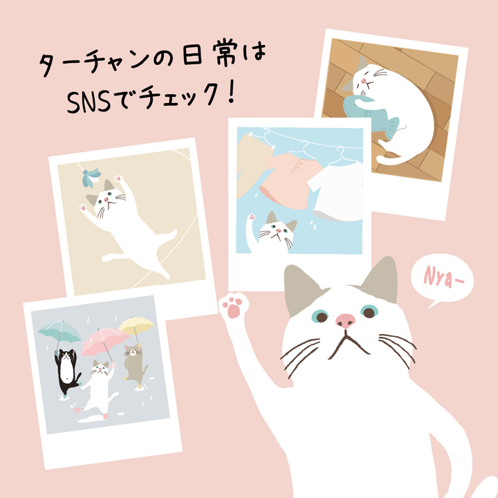 ターチャンの特徴05