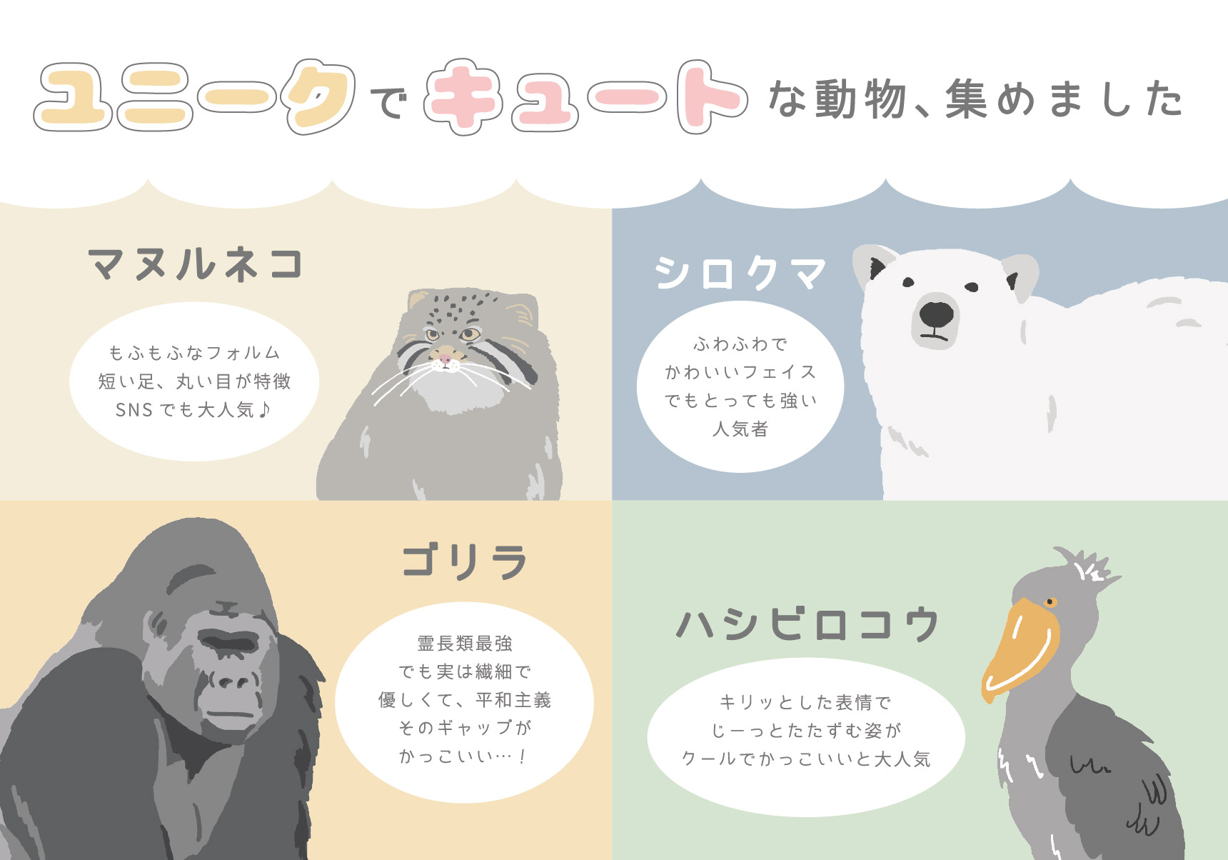 ユニークでキュート！動物園の人気者たち♪