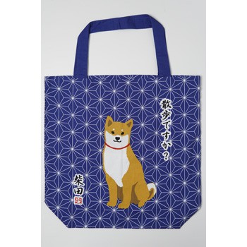 あさのはしばたさん　ビッグバッグ