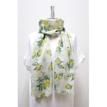 シトロニエ　ストール