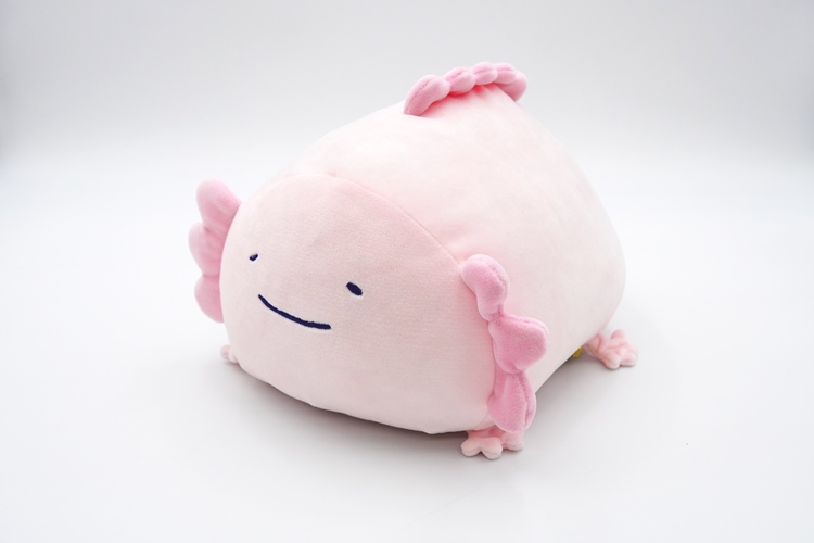 ウーパン　もちふわクッションＭ