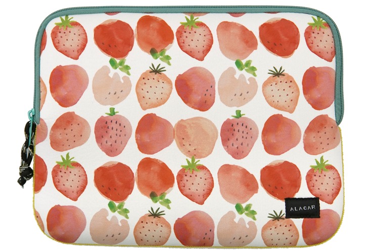 スイサイイチゴ　ケースＭ