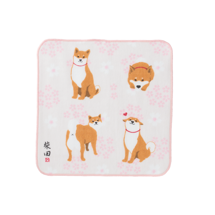 シバタサクラ　ガーゼタオル(5枚入り)