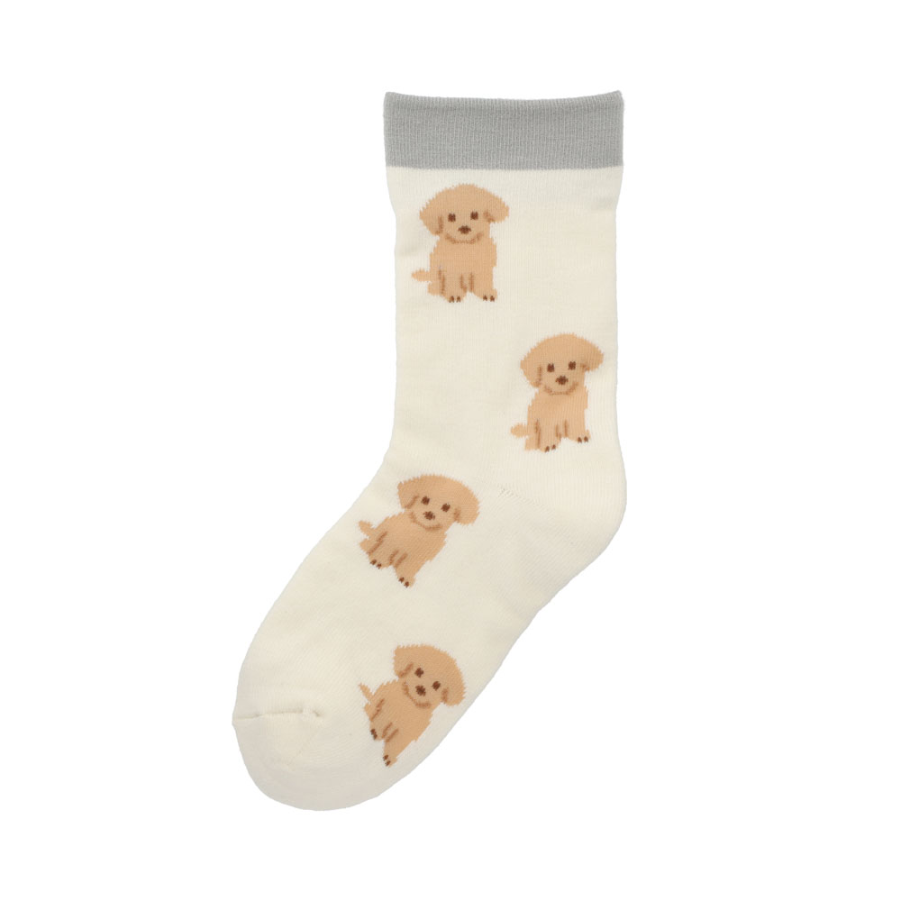 ディアプードル 冷えとりソックス