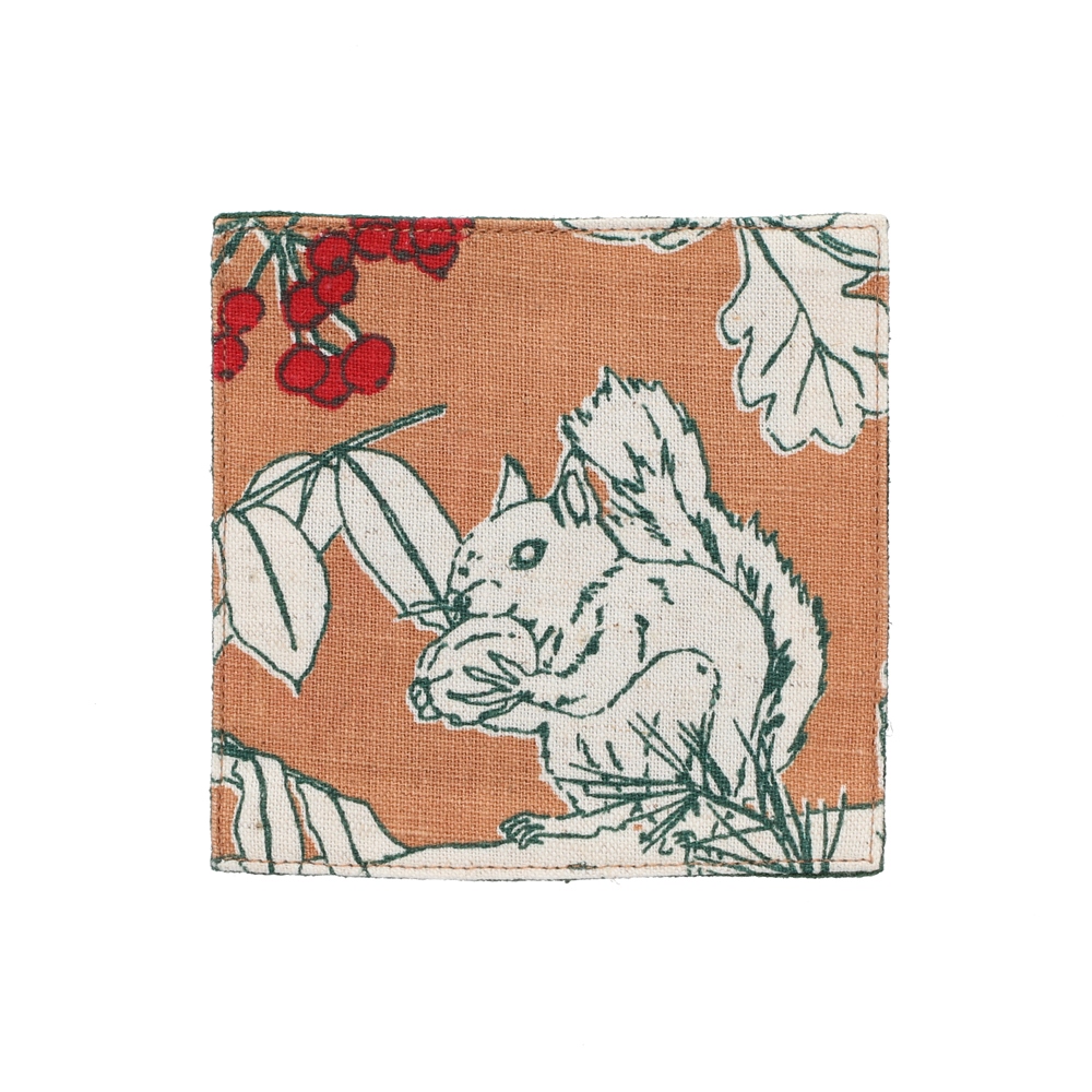 リスノモリ コースター