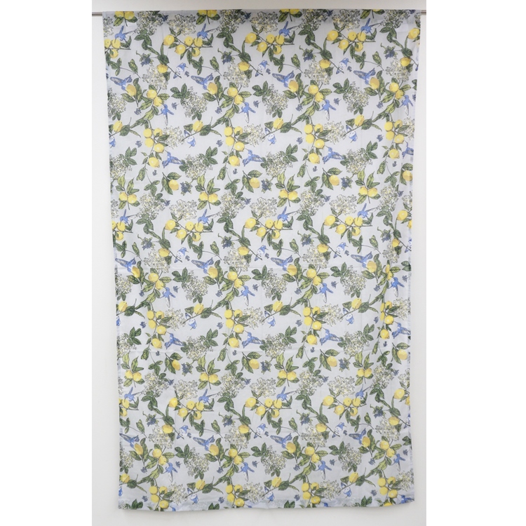 シトラスバード　ノレン