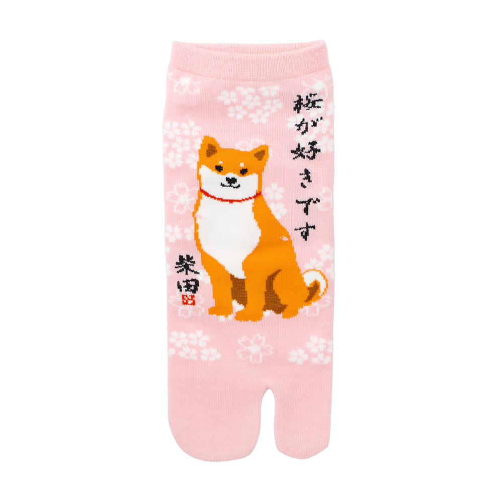 さくらだしばた　タビソックスＭ