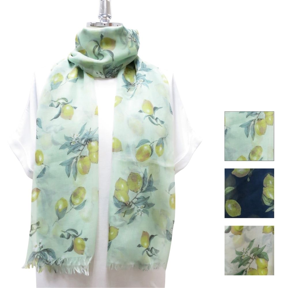 シトロニエ　ストール